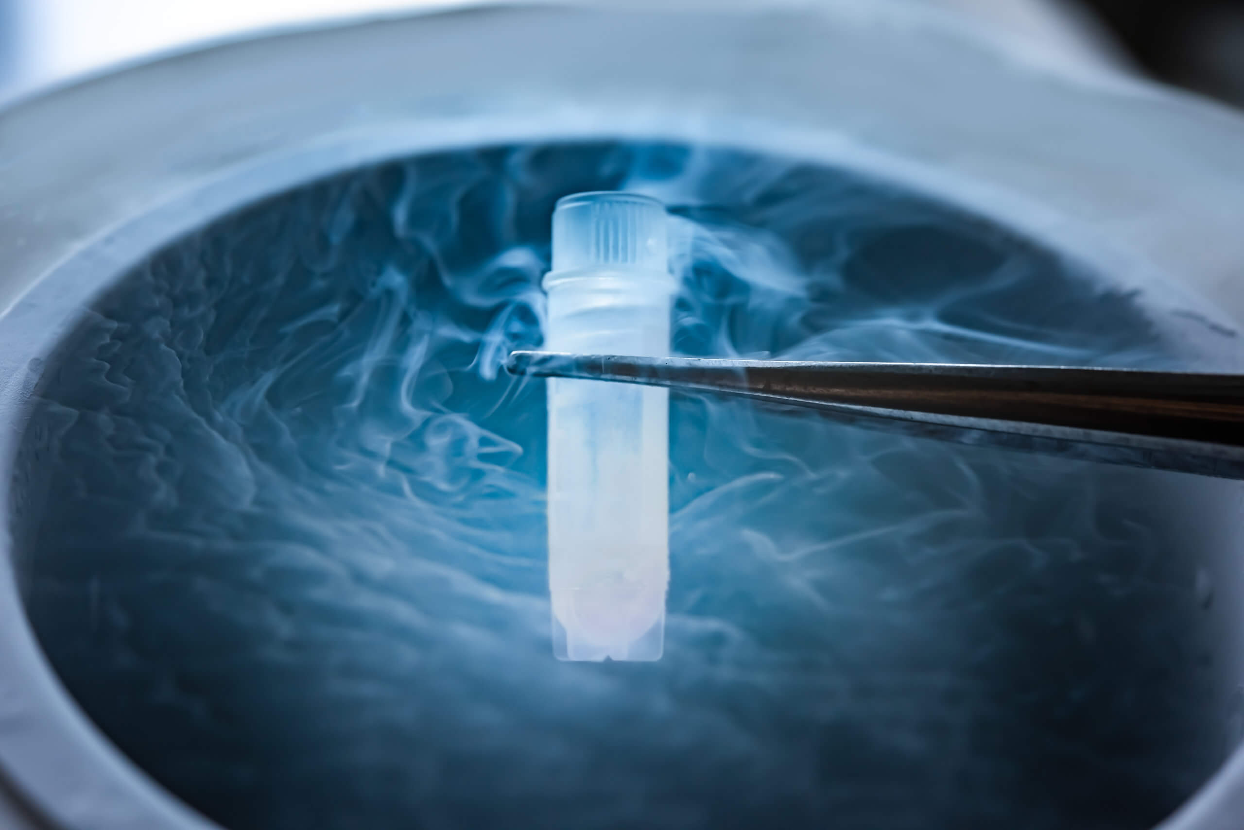 Cryopreservation