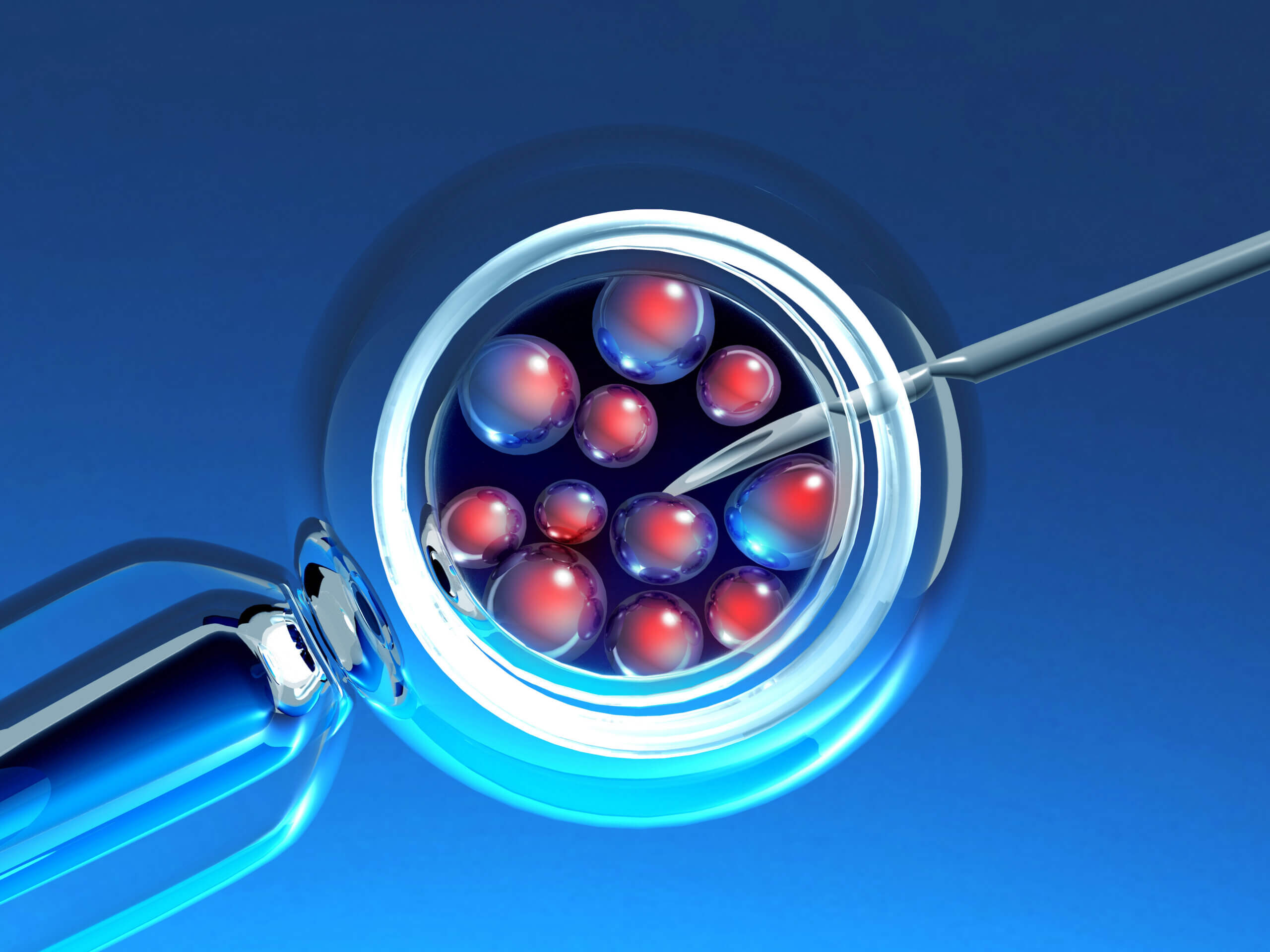 Treatment Series Fresh And Frozen Embryo Transfer Viera Fertility Treatment Series Fresh And Frozen Embryo Transfer Viera Fertility